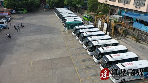 江华汽车有多少辆